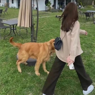 一世情